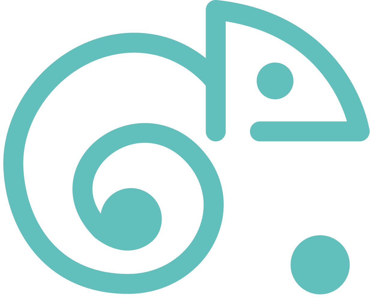 Kame logo
